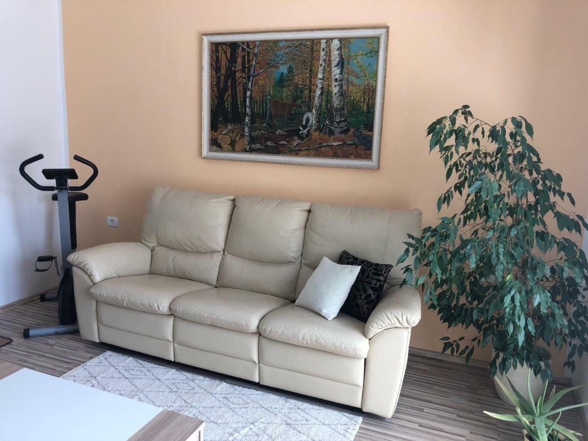 Apartma Mahnic Postojna Eksteriør bilde